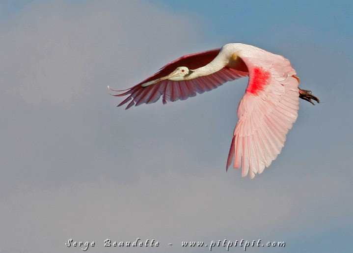 2009-01-10 15-37-57__MG_2439.JPG